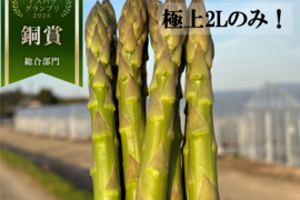 【受賞記念&登録記念SELE🎊】極太(A2L)のみ｜1.0kg｜那須塩原産アスパラガス｜朝採れ｜じゅわっと春を感じる