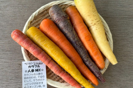 彩豊か！カラフル人参ミックス 1袋(500ｇ前後)