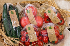 【2026春・早期予約】【30箱限定】春の名残と夏の走り。ぶるベジの「おいしい瞬間」トマト4種＆シャキシャキ朝採り四川きゅうり【5月下旬〜発送】