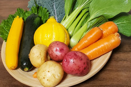 テーマは『優しさ』旬の野菜セット～初夏～(野菜6～8種類入り)農薬・化学肥料不使用