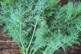 富山県産 ディル 約200g