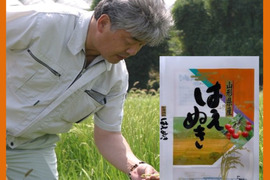 精米はえぬき20㎏(5k✕4袋)
