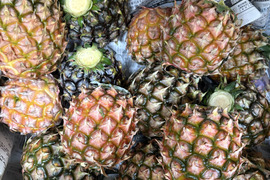 石垣島産「ピーチパイン」約7〜8kg