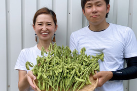 【今が旬！】１度食べたらやみつき！実がぷっくり！“大阪早生　枝豆つき”　枝豆（1.5kg）