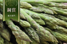 2027年シーズン『春芽』✨【やや太め500g】【緑の宝石】那須塩原産アスパラ｜じゅわっと感じる奥深い甘み！｜Lサイズ｜朝どれ