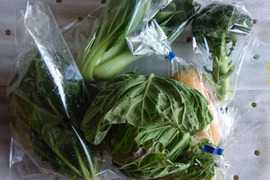 野菜boxSSサイズ