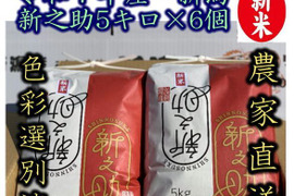 米とぎ不要の無洗米　大粒で　粒感がありしっかりとした食感　冷めても固くなりにくい新米　新潟県のお米のトップブランド　新之助（新潟県認証銘柄）　白米5kg ×6個★農家直送★色彩選別