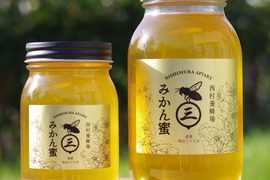 みかんどころ和歌山だからこそ！みかんの花から採れたみかん蜂蜜(1200g)　2023年度産
