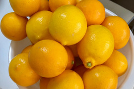 【ノーワックス＆防腐剤不使用】完熟マイヤーレモン（3kg）
