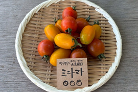 【朝どれ】カラフルが嬉しい！ミニトマトミックス 1袋(200g)