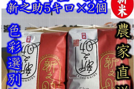 大粒で　粒感がありしっかりとした食感　冷めても固くなりにくい新米　新潟県のお米のトップブランド　新之助（新潟県認証銘柄）　白米5kg × 2個★農家直送★色彩選別済