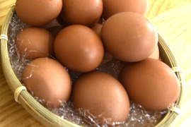期間限定【パワーエッグ初卵】平飼い赤鶏の初産みたまご30個【長寿・安産・縁起物】