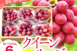 【1.5kgパック詰め】クイーンルージュ🍇種なし皮ごと食べられる大人気品種