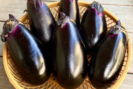 限定販売！旬の朝採り秋ナス 【約1.8kg】