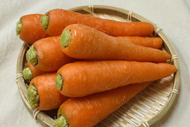 春のごちそう！春にんじん！（ご家庭用・５㌔・約35本前後）