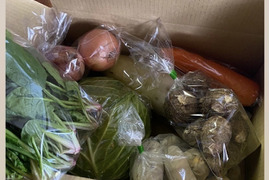 Hiiko 様専用商品