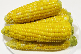 【渾身の出来】甘いとうもろこし（5~6個、約2kg）農薬・化学肥料不使用