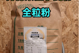 青森県産小麦粉全粒粉10kg