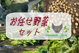 旬の野菜！！入ってます(*^^*)野菜セット（3～4種類）