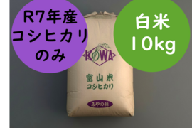 【初出品特別価格】旨み値Sランク R7富山県産こしひかり10kg 白米｜皇室献上