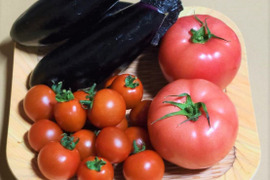 なす・トマト・ミニトマトの3種セット♪【お試しサイズ】