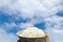 兵庫県のお米で産地直送の商品｜食べチョク｜産地直送産直お取り寄せ