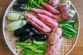 さつま芋メインの季節の野菜セット