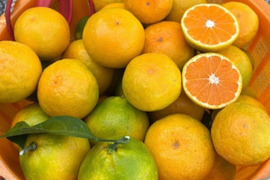 みかん　箱あり 和歌山県産 有田みかん 秀品 2S〜Sサイズ 10kg（箱） : 生鮮卸売