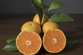 有田みかん【10kg（箱込）・ご家庭用】