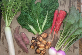 2026年　お正月お迎え野菜セット