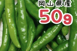 青唐辛子　50g 岡山県産