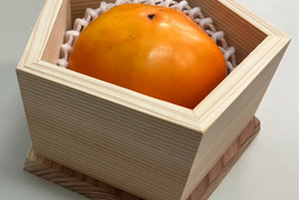 【2025予約販売】合格祈願！  合格柿！花御所柿(5角形)　大工の作る杉の箱入り！