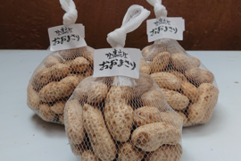 おおまさりの通販｜落花生・ピーナッツ｜食べチョク｜産地直送