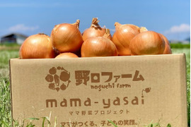 【玉ねぎ定期便】淡路島 季節の玉ねぎ 2kg箱 約6～8個入