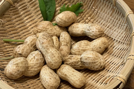【おおまさりネオ】千葉県産　生落花生！極大粒で２Kg　新豆2025年収穫