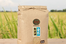 令和８年産予約　自然栽培米 ササニシキ 庄内米 玄米 5kg