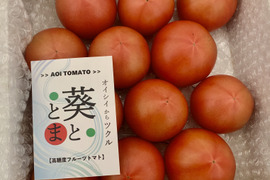 【家庭用・試食用】1.4kg 凝縮大玉塩フルーツトマト
