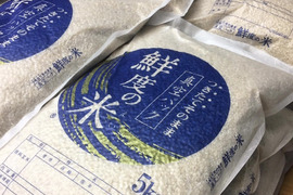 初めての方にオススメ！
2022年産『玄米』5kg 〜栽培期間中農薬不使用〜