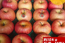 青森県産りんご  糖度14%保証 雪完熟自然葉とらずサンふじ10kg 家庭用