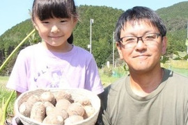 きめ細やかな白色！ほっこり里芋３ｋｇ「自家製肥料（えごまボカシ）使用！」