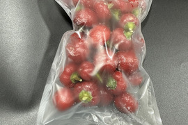 【冷凍唐辛子】耐えられる辛さ！ぺぺロンチーノ（約200g）農薬・化学肥料不使用