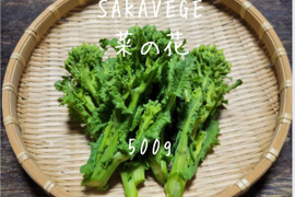 SAKAVEGE 菜の花 500g