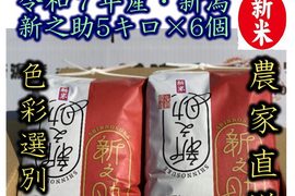 大粒で　粒感がありしっかりとした食感　冷めても固くなりにくい新米　新潟県のお米のトップブランド　新之助（新潟県認証銘柄）　白米5kg × 6個★農家直送★色彩選別済