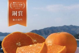 農園自慢のせとか『家庭用3キロ』※3月1日より順次発送