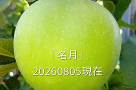 【先行予約】「名月約5kg入り」生産者が大好きなりんごです。甘みが強い品種、黄色のボディに頬紅を付けた見た目も愛らしいんですよ。10月後半から収穫予定ですので、、、