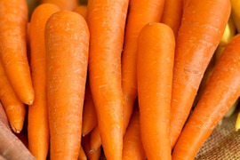 フルーティーな香り！雪下にんじんアロマレッド（3㎏）