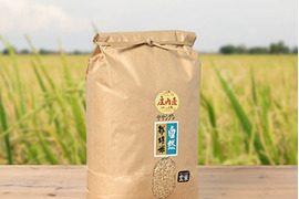 【 玄米・５kg 】幻の米 自然栽培米 ササシグレ