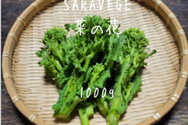 SAKAVEGE 菜の花 1000g