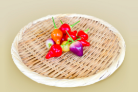 8/30放映「満天☆青空レストラン」2セット