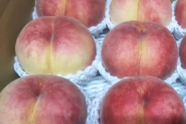 だて白桃(お家用)２kg×２箱